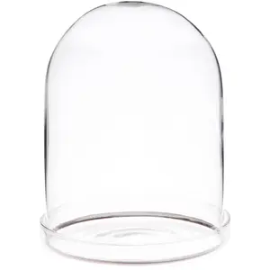 Plymor Glass Display Dome Cloche with Silver Rim (Clear Glass Tray Base)