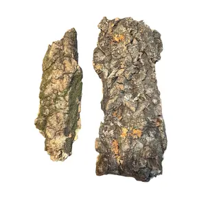 Cork Bark Slabs – Bioactive Material for Terrariums & Vivariums