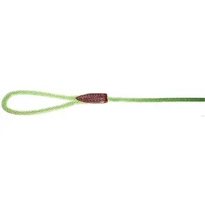 212 MAIN Latigo Leather Dog Rope Leads - 6 ft British Slip Loop Design, Pack of 3, Easy Leash