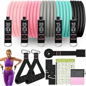 Resistance Bands Set for Exercise, Fitness Bands with Door Anchors, Stretch & Workout Bands
