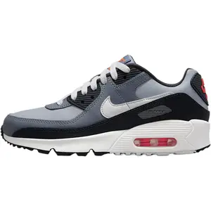 Youth Nike Air Max 90 Wolf Grey/White-Cool Grey (HF6358 007) (GS)