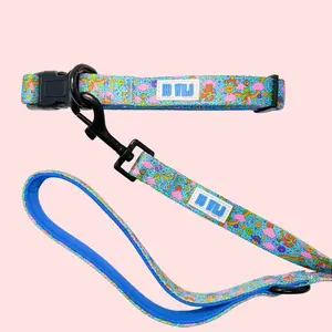 Pet Wear