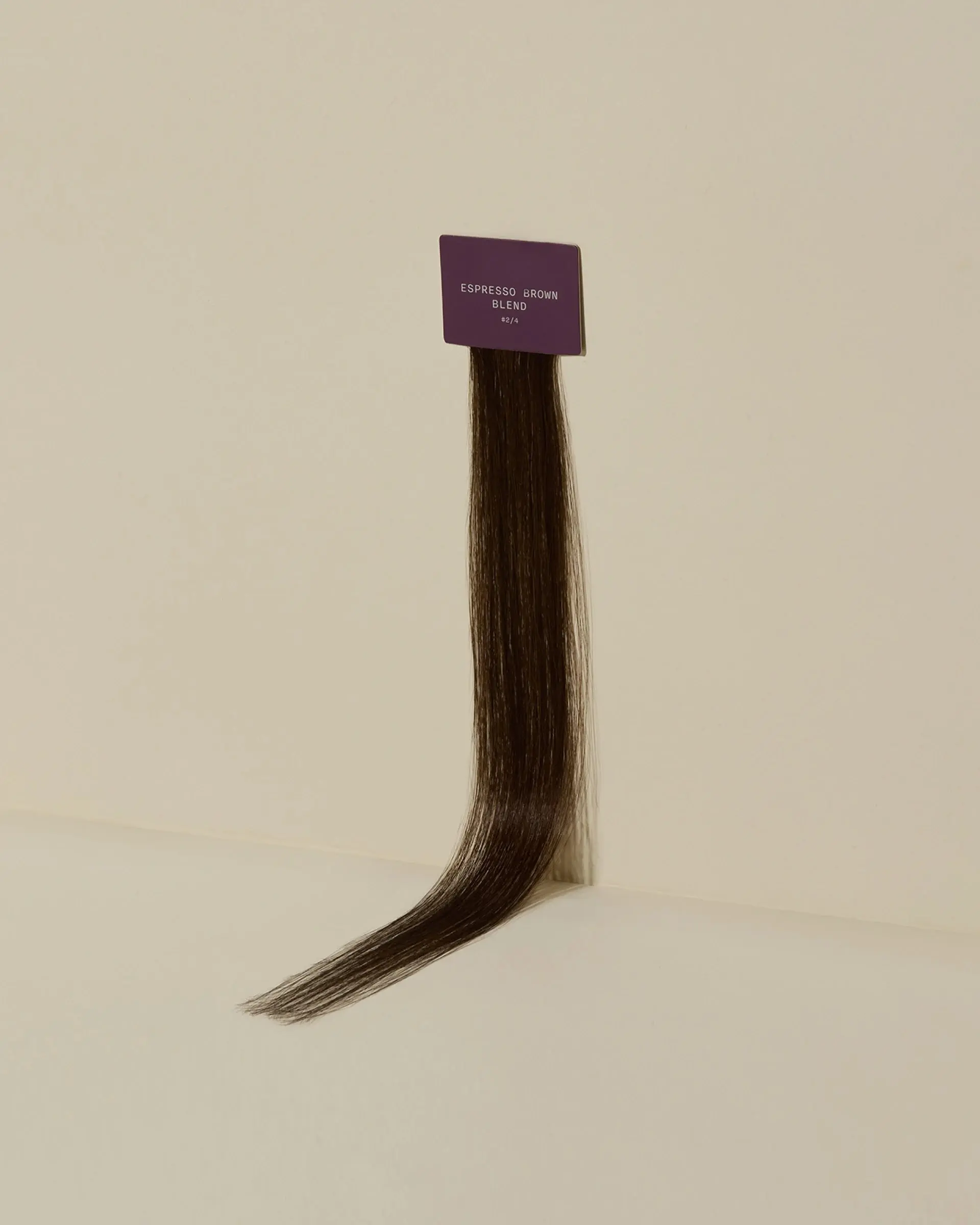 Espresso Brown Blend #2/4 Swatch