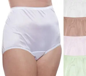 Nylon Brief Panty (Style 331/Plain Jane) 4 Pack in Classic Lights