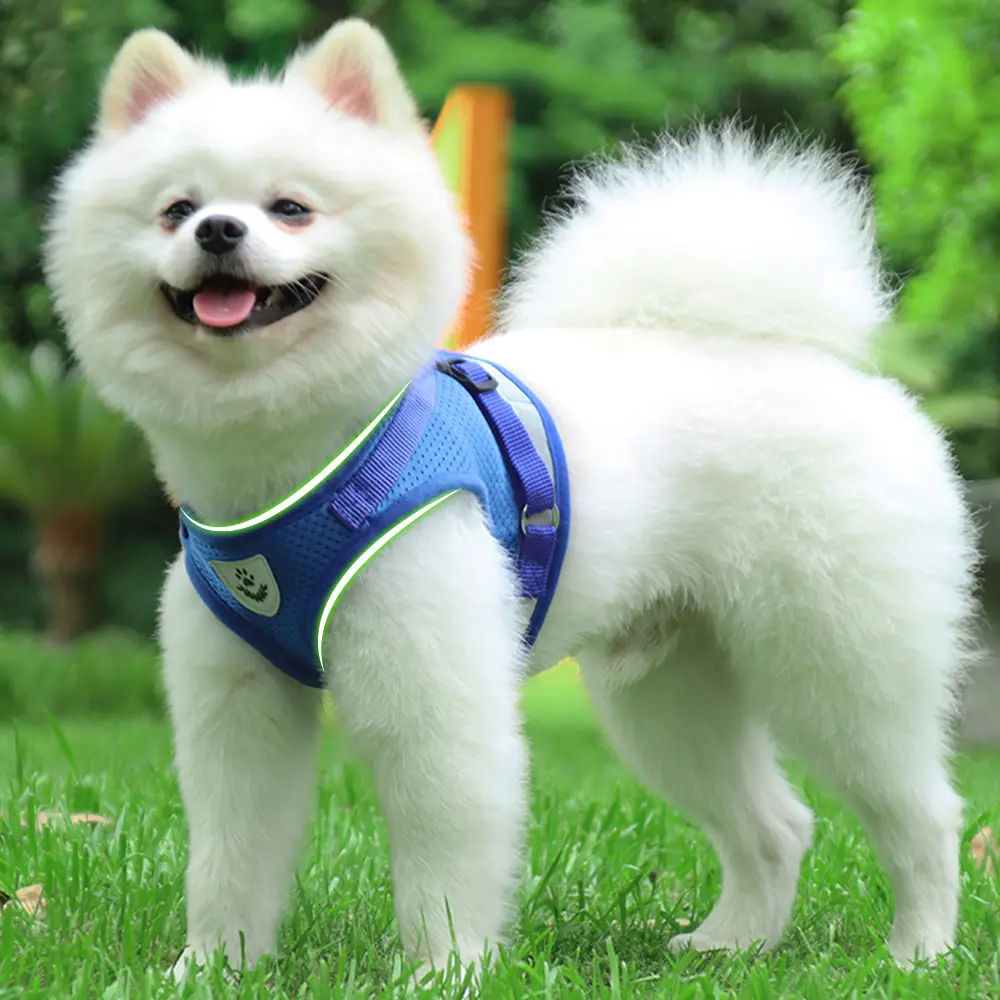 Lumipet No Pull Dog Harness, Reflective Breathable Mesh Vest with Front & Back Clips, No Choke Escape Proof Walking Harness for Small Medium Large Dogs