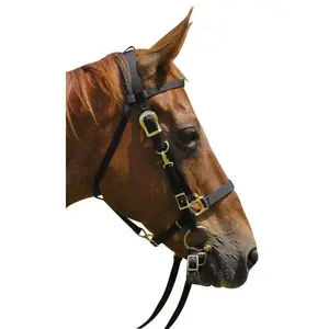 Jeffers Nylon Combination Horse Halter Bridle with Reins