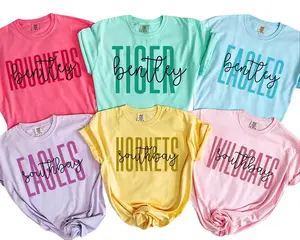 Comfort Colors Custom School Shirt, School Logo Tee, Team Mascot Shirt Gift, Custom Name Gifts for Back to School, Custom Sports Tee