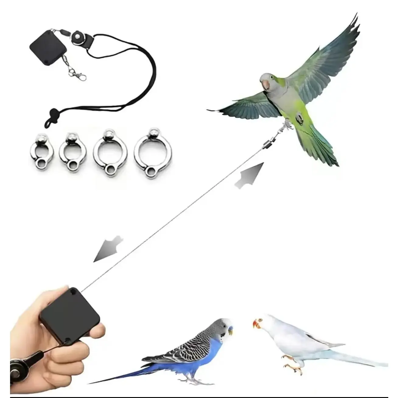 Parrot Harness & Leash Set, Ultralight Automatic Retractable Flight Rope with Anti-Bite Comfortable Safe Design for Parrot Outdoor Training, 1 Anti-Bite Component, 1 Flight Rope, Parrots