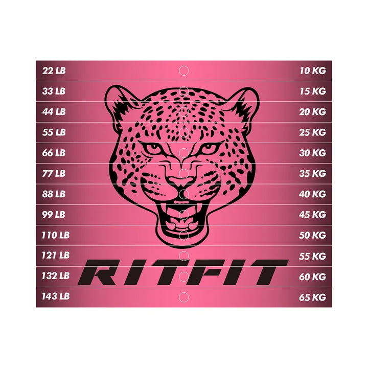 RitFit Premium Patriotic Leopard Edition Weight Stack Sticker Labels, Precision-Designed Durable, Machine Compatible with M1 PRO-M2 PRO Fitness Exercise Machine Accessories for Strength Training