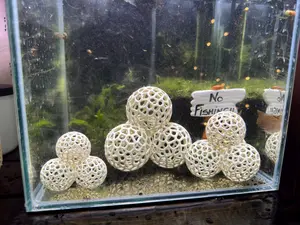 Shrimp and Fry Hide Orb Pyramid| Voronoi Aquarium Decoration