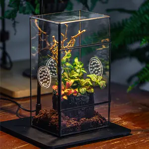 NCYP Small Glass Terrarium with 3 Vent Holes for Large Jumping Spider, Front Opening Door Insects Enclosure Habitat(Terrarium Only) Room Decor Home