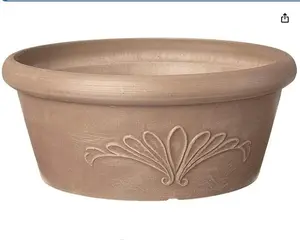 Shallow Planter Cacti Succulent Dish