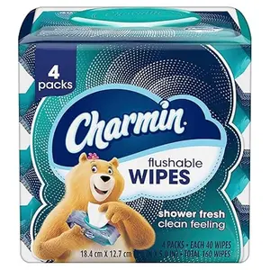 Pack Of 4 Flushable 40 Wipes 160 Total Extra Clean Finish