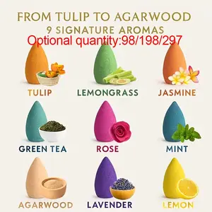 Natural Scented Incense Cones Set, 9 Scents Variety Pack, Ideal for Meditation & Relaxation, Elegant Packaging, Perfect Holiday Gift