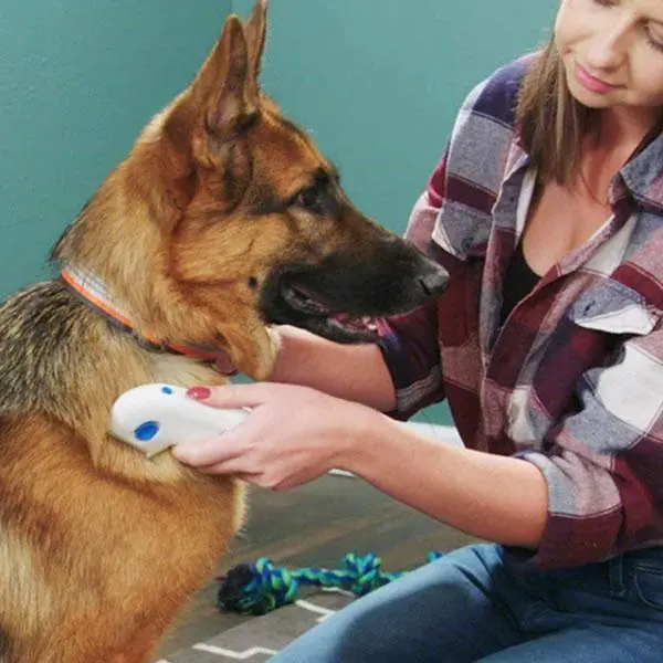 Electric Flea Comb for Dogs & Cats - USB Rechargeable Pet Grooming Comb with Suction Cup, ABS Plastic, Chemical-Free, Pesticide-Free, Skin Safe Lice & Flea Removal Tool (Comes in Blister Pack)