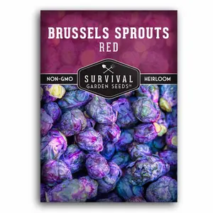 Red Brussels Sprout Seeds – Heirloom Non-GMO Purple Variety