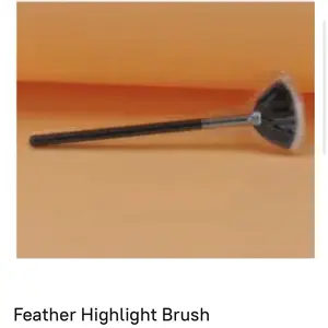 Feather Highlight Brush