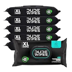DUDE Wipes - Flushable Wipes 6 Pack, 288 Wipes - Mint Chill - Eucalyptus & Tea Tree Oil - Septic and Sewer Safe Cleans Better Than Toilet Paper