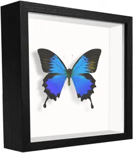 5X5 Small Shadow Box Frame Display Case , Display Case Box for Memorabilia, Medal, Wedding Memories, Crafts, Tickets and Photos (Black, 5X5) TOUYINGER