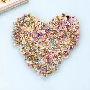 Mixed Color Dried Flower Material Pack, DIY Dried Flower Pack, Multi-purpose Home Party Photography Prop, Diy Flower Decor