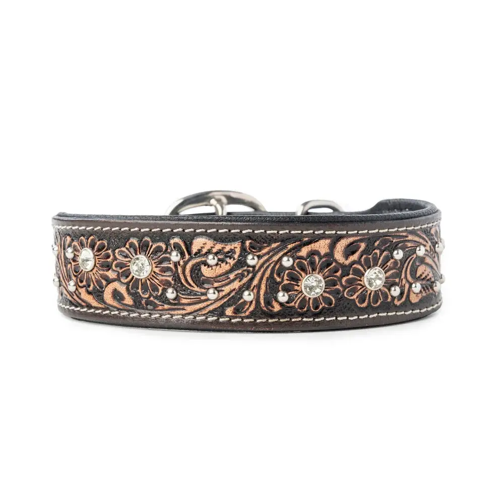 Midnight Canine Elegance Western Dog Collar In Black, new dog accessories, dog collar ,pet supply store 