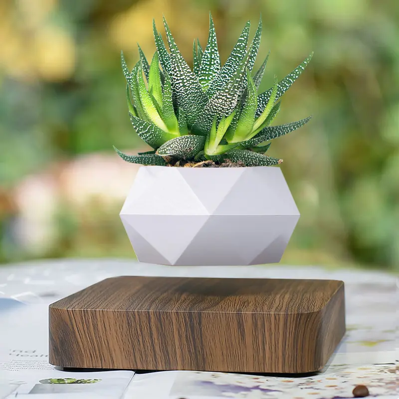 Magnetic Levitating Plant Pot - Floating Bonsai Planter with 360° Rot., Dynamic Displays, Aesthetic Home Decoration, Modern Indoor Nature Accent, Unique Gift for Garden Enthusiasts
