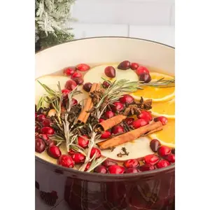 Sunlit Grove - Simmer Pot (Refill)