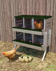 Green Chicken Nesting Box for Laying Eggs, Roll Away Chicken Laying Boxes, Roll Out Nesting Boxes for Hens, 6 Compartments with Legs