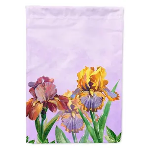 Purple and Yellow Iris Flag Garden Size BB7445GF