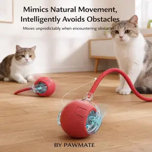 Smart Automatic Interactive Pet Teaser Ball Toy with Rope, USB-C Rechargeable, Entertainment for Cats & Dogs