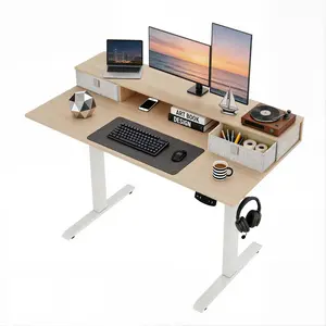 Electric Standing Desk 48x24 Inch with Memory Controller, 2 Height Presets & Built-in Monitor Stand, Adjustable Computer Desk for Home Office, Gaming, 160 lbs Capacity