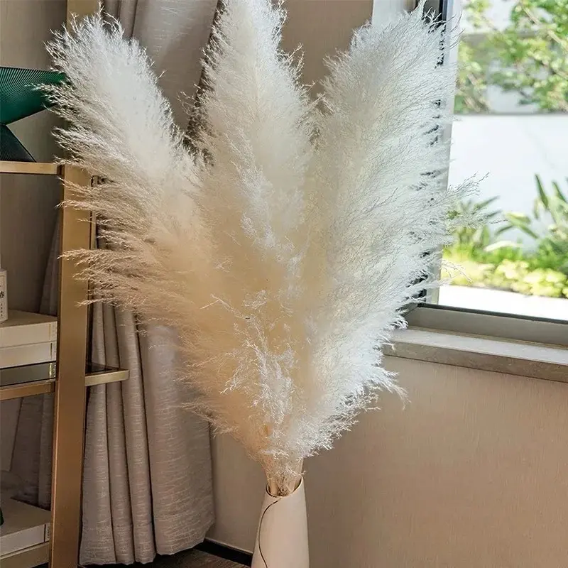 Dried natural pampers grass decor for all things decoration 45” (6 stems) boho weddings birthdays living-room, bedroom, kitchen, office, bathroom, minimalist decor, boho style in white or beige color