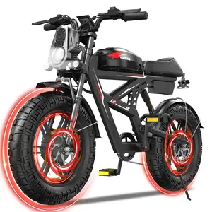 WO18 Electric Bike Dual Motor All Wheel Drive 2000W Power 25Ah Battery 34MPH Top Speed 50 Miles Long Range 20 Inch Off Road Tires 7 Speed Hydraulic Brakes Front And Rear Suspension NFC Start Built In Speaker Smart App Control Official Warranty