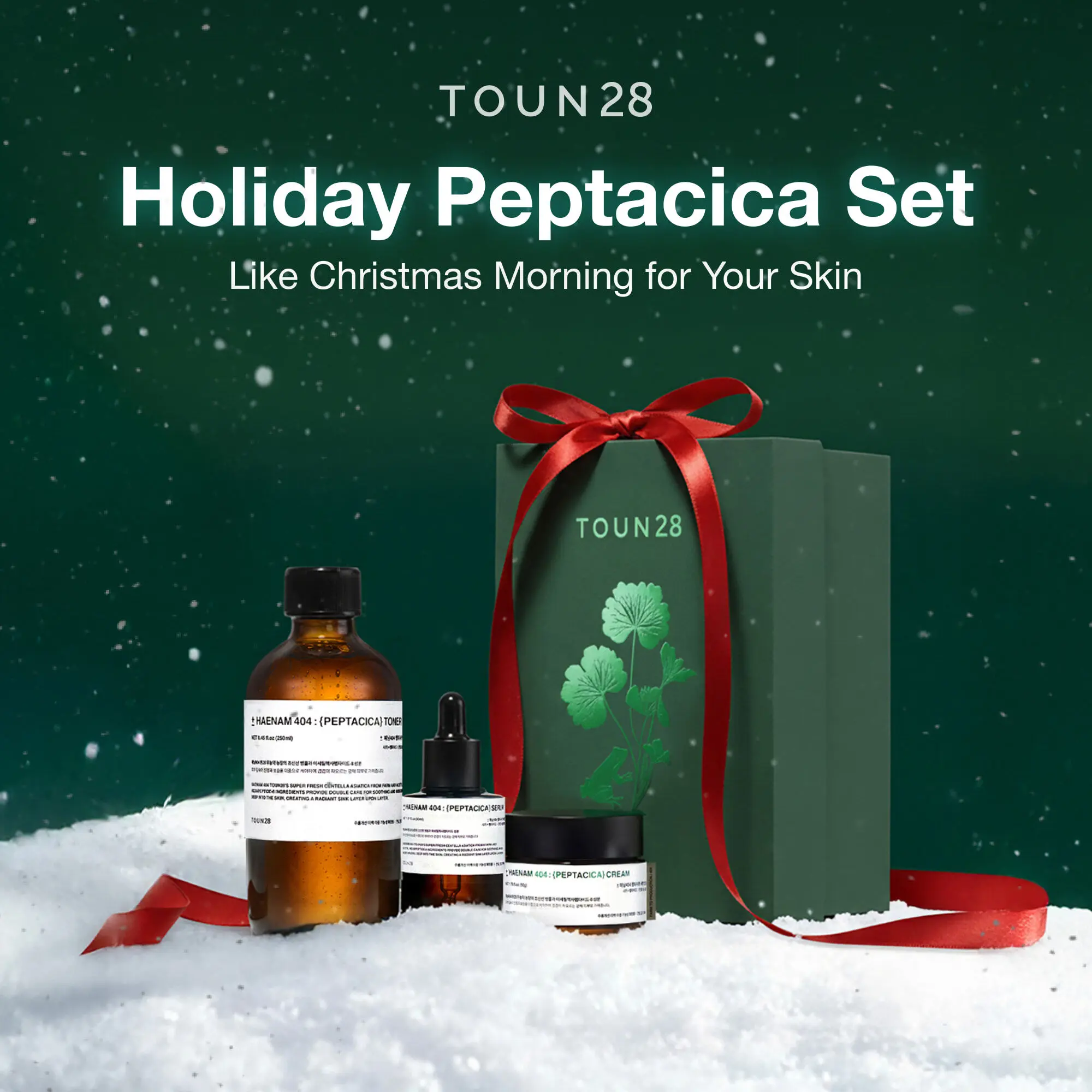 TOUN28 PEPTACICA Set | Peptide + Centella Asiatica Extract | Toner, Serum, Cream | Anti-Aging & Skin Repair | Premium Korean Vegan Beauty