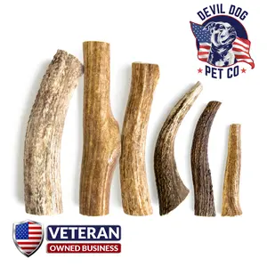 Devil Dog Pet Co Elk Antlers for Dogs Grade A Long Lasting Chew for Aggressive Chewers Premium USA Naturally Shed Antler Healthy No Odor Durable Dog Chew