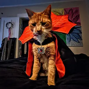 Halloween Pet Vampire Cape - Stand Collar Cat/Dog Cloak with Witch Costume for Party Dress-Up