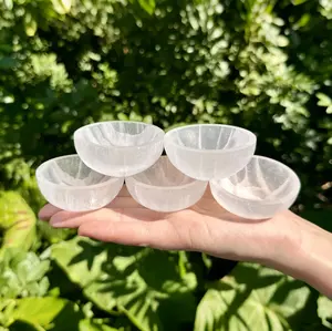 3'' Selenite Charging Storage Bowl Carving Healing Crystals Lover Collection Crystals Holder Home Decor Gift Mineral Specimen