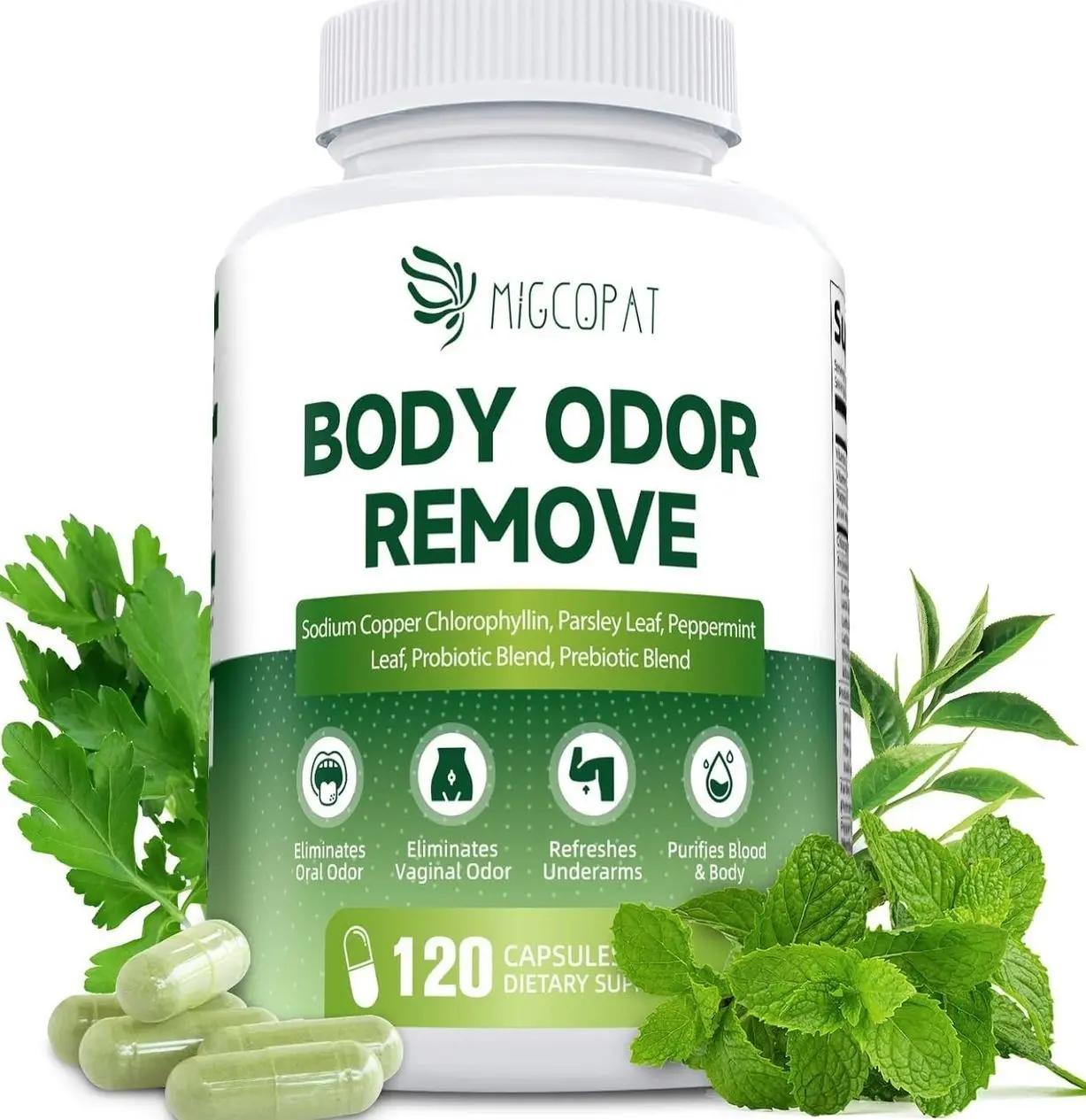 Chlorophyll Body Deodorizing Supplement, Chlorophyll Capsules with Parsley & Peppermint, Probiotic, Green Tea, Jerusalem Artichoke, Prebiotic, Supports Fresh Breath & Whole-Body Freshness, 120 Caps