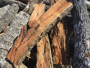 Mesquite - Cooking Wood
