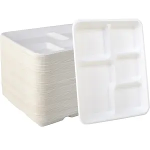 500 Count 5 Compartment Plates, 100% Compostable Paper Plate, 10.25 * 8.5 inch Disposable School Lunch Trays, Eco-Friendly Bagasse Plates for School Lunch, Buffet, and Party, Perfect for Kids