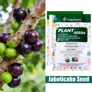 Jaboticaba Seeds for Planting | Brazilian Tree Grape Seeds | Tropical Fruit Seeds for Indoor Outdoor Garden | Exotic Fruit Plant for Home Growing