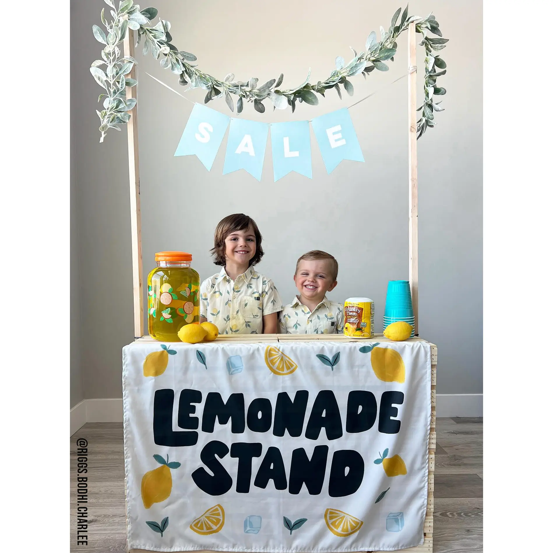 Lemonade Stand Banner - Kids Summer Pretend Play Wall Decor