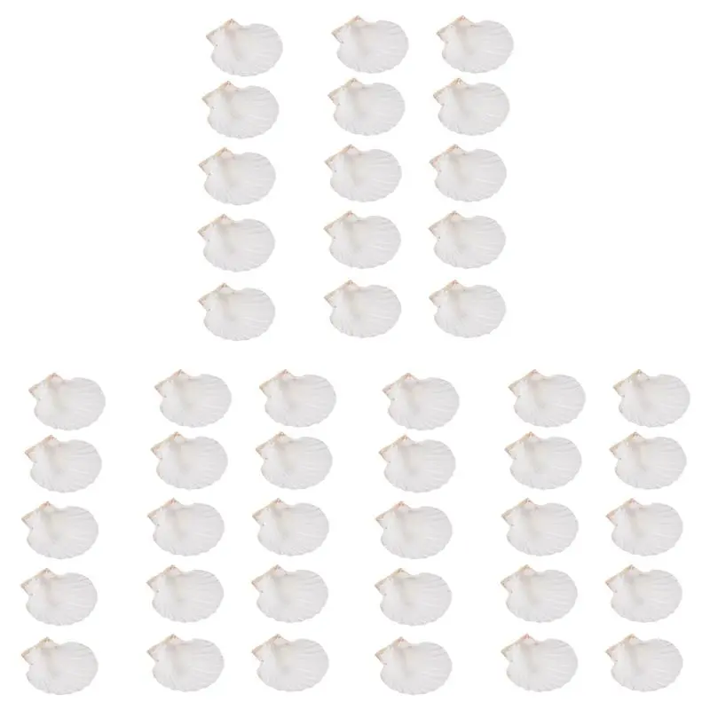 Natural Shell Set - 45 PCS Large White Scallop Shape Shells (4-4.7 in), Ideal for DIY Crafts, Serving Food