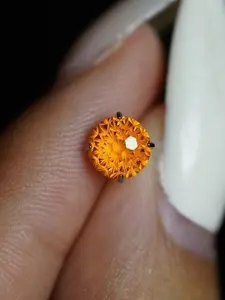 Titanium Firework Stud Earrings for Women and Men | Diamond Grade Fireworks Cut Craftsmanship - Color-Shift Design Unisex 6mm 8mm Jewelry Design