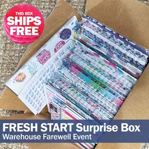 Surprise Planner Box with Budget Binders™ & Gratitude Journals | 18 Items Non-Dated Surprise Planner Box with Budget Binders™ & Gratitude Journals | 18 Items Non-Dated