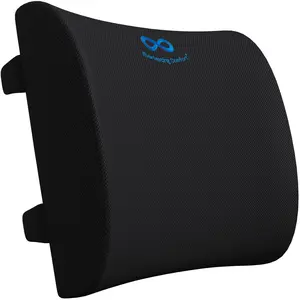 Everlasting Comfort Lumbar Support Pillow - Memory Foam Back Cushion for Chair, Car, Couch - Promotes Better Posture, Back Pain Relief