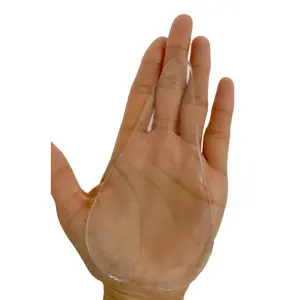 2 Pack Camel Toe Concealer - Adhesive Silicone For Women's Leggings Swimwear Yogawear Activewear-M7729