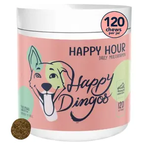 Happy Dingos Happy Hour – Daily Multivitamin Chews for Dogs, Gut, Skin, Joints & Immunity, 120 Count