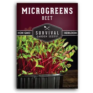 Beet Microgreens Seeds - Sweet Flavor Beet Microgreens Seeds - Sweet Flavor