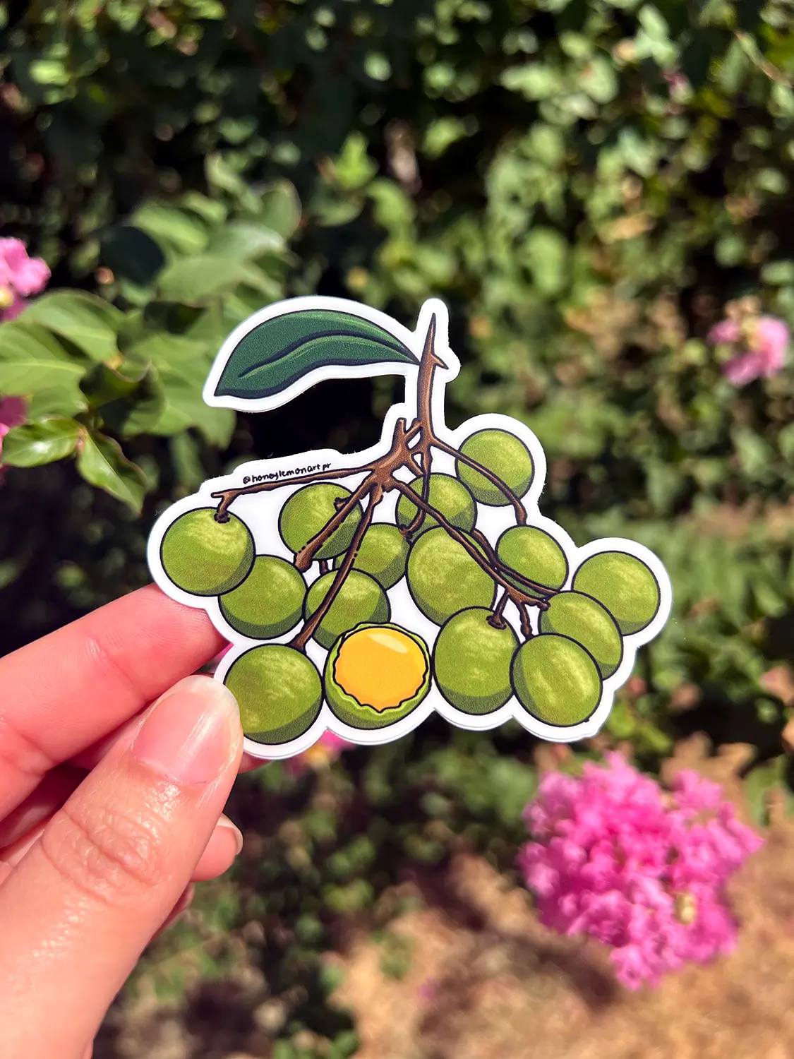 Puerto Rican quenepa sticker⎪Stickers Boricuas⎪ Vibrant Fruit Illustration, Tropical fruits stickers